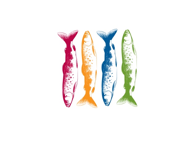 Design Colorfull Fishing