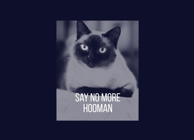 T-Shirt Say No More, Hooman