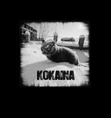 T-Shirt Kokaina