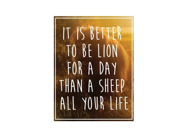 Design Better A Lion For A Day
