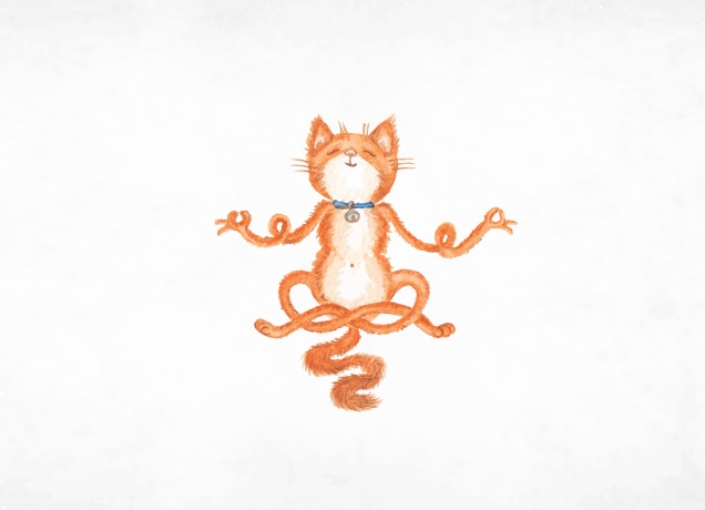 T-Shirt The Yoga Cat